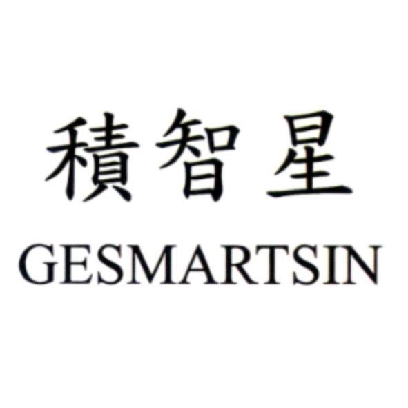 積智星 GESMARTSIN