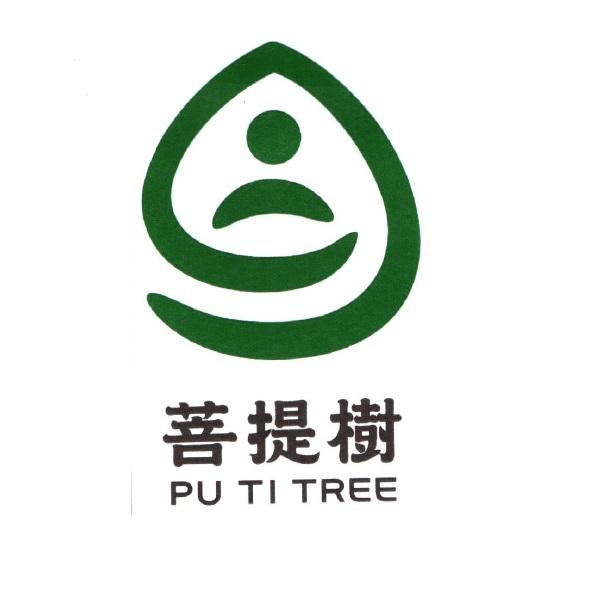 菩提樹PU TI TREE及圖