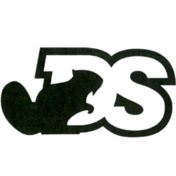 DS 設計圖
