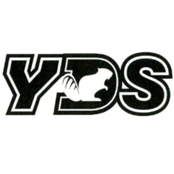 YDS 設計圖