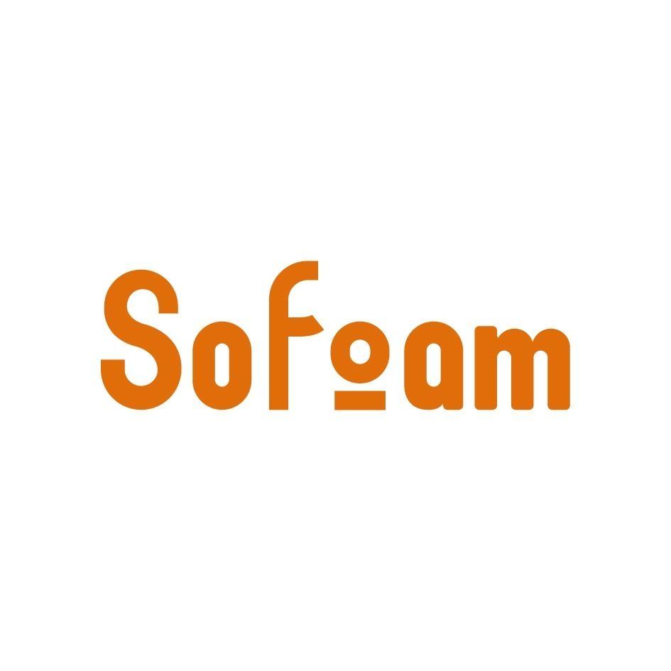 SoFoam設計字