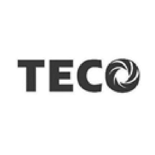 TECO設計字