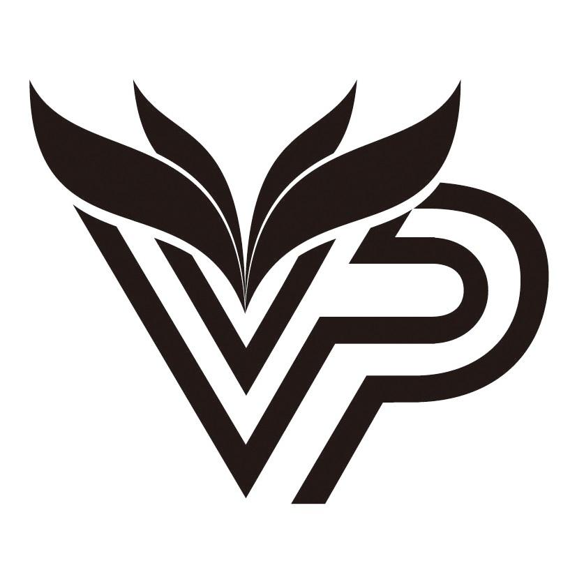 VP設計圖