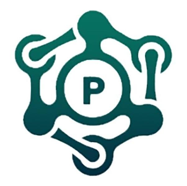 P及圖