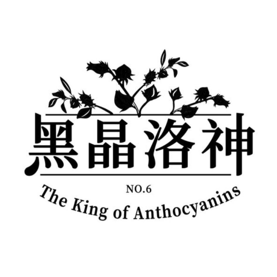 黑晶洛神 NO.6 The King of Anthocyanins 設計圖