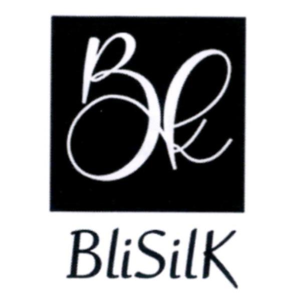 BliSilK 設計圖及字