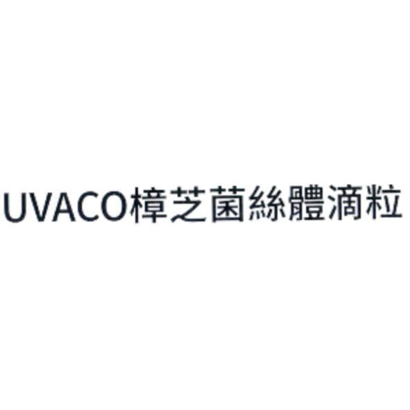 UVACO 樟芝菌絲體滴粒