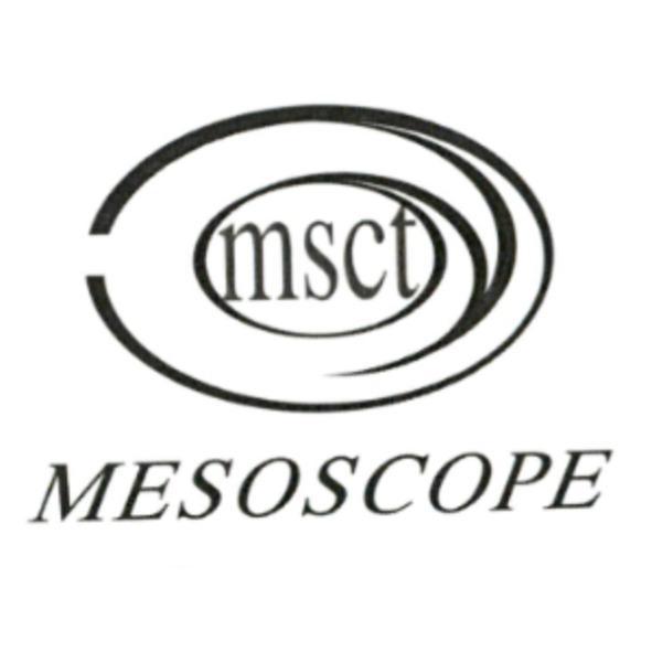 msct MESOSCOPE 及圖