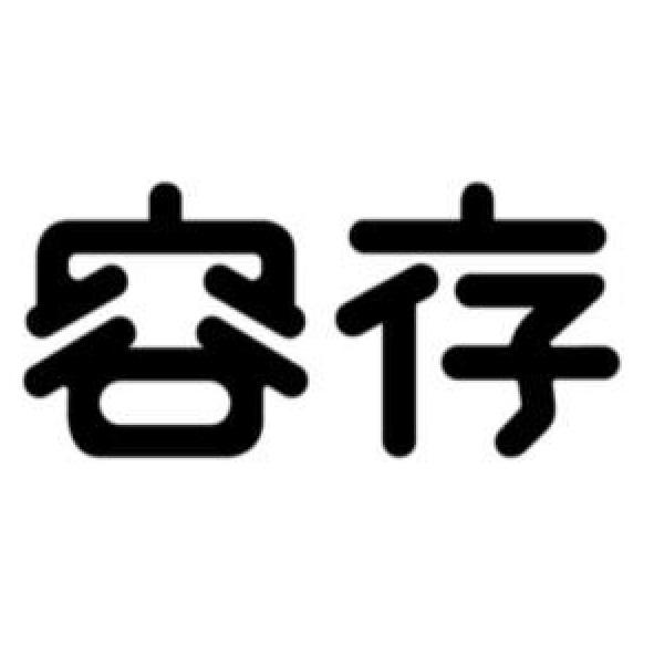 容存