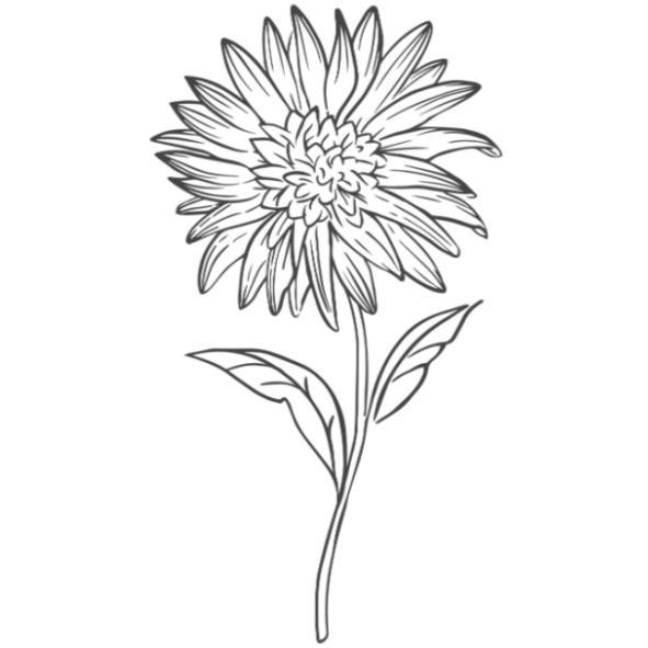 花設計圖