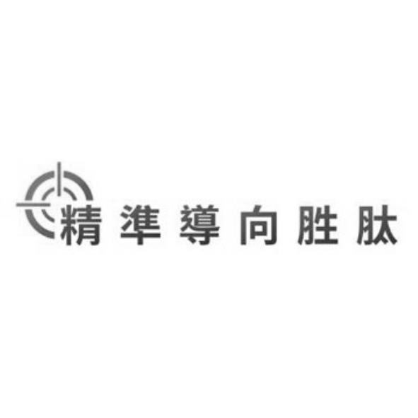精準導向胜肽及圖