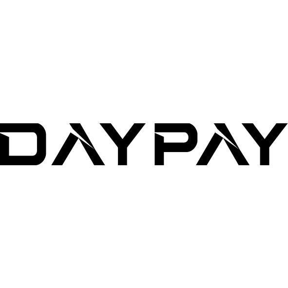 DAYPAY設計字