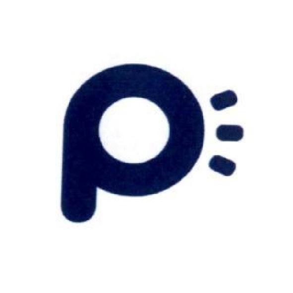 P 設計圖